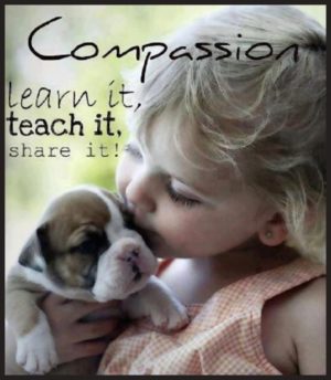 Compassion - Learn it, teach it, share it!
