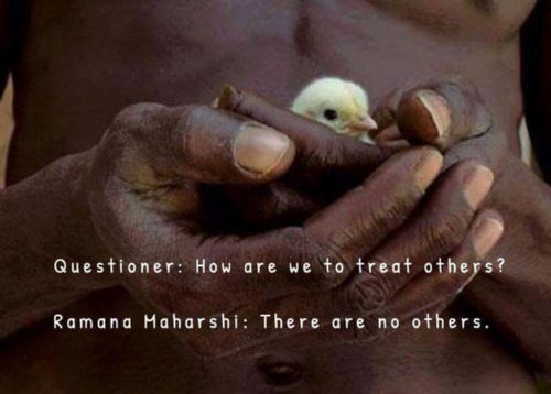 Questioner: How are we to treat others? Ramana Maharshi: There are no others.
