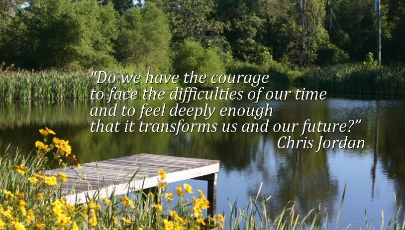Quote from Chris Jordan