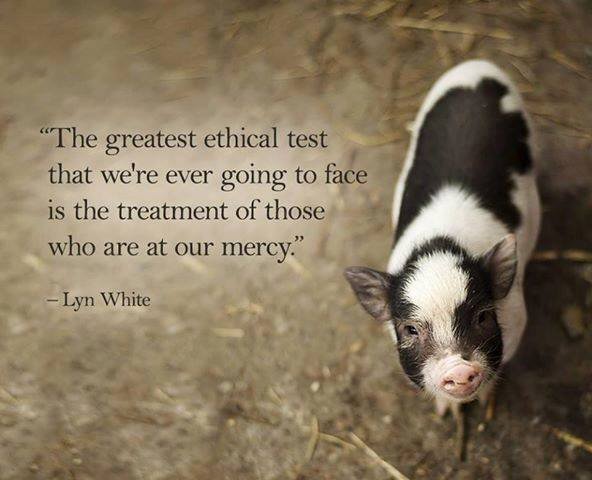The greatest ethical test...